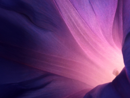 DB Surpluses And Run On ORIGINAL IMAGE