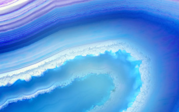 Insights Imagery 0017