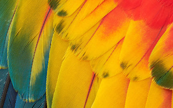 Insights Imagery 0022