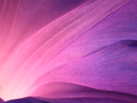 Insights Imagery 0040