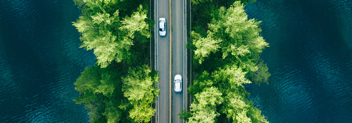 Aerial image of a bridge with trees either side and over a body of water with a few cars on the bridge